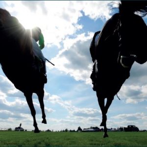 https://www.hazeltonmountford.co.uk/app/uploads/2018/02/day-at-the-races.jpg