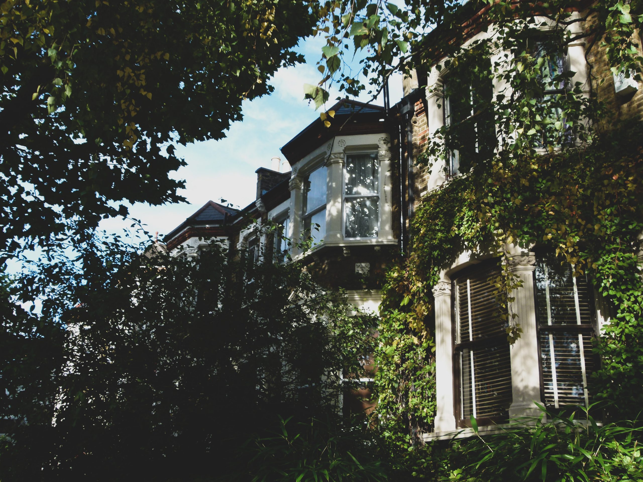 https://www.hazeltonmountford.co.uk/app/uploads/2021/03/luiza-giannelli-OMgmZUezA7s-unsplash-scaled-1.jpg