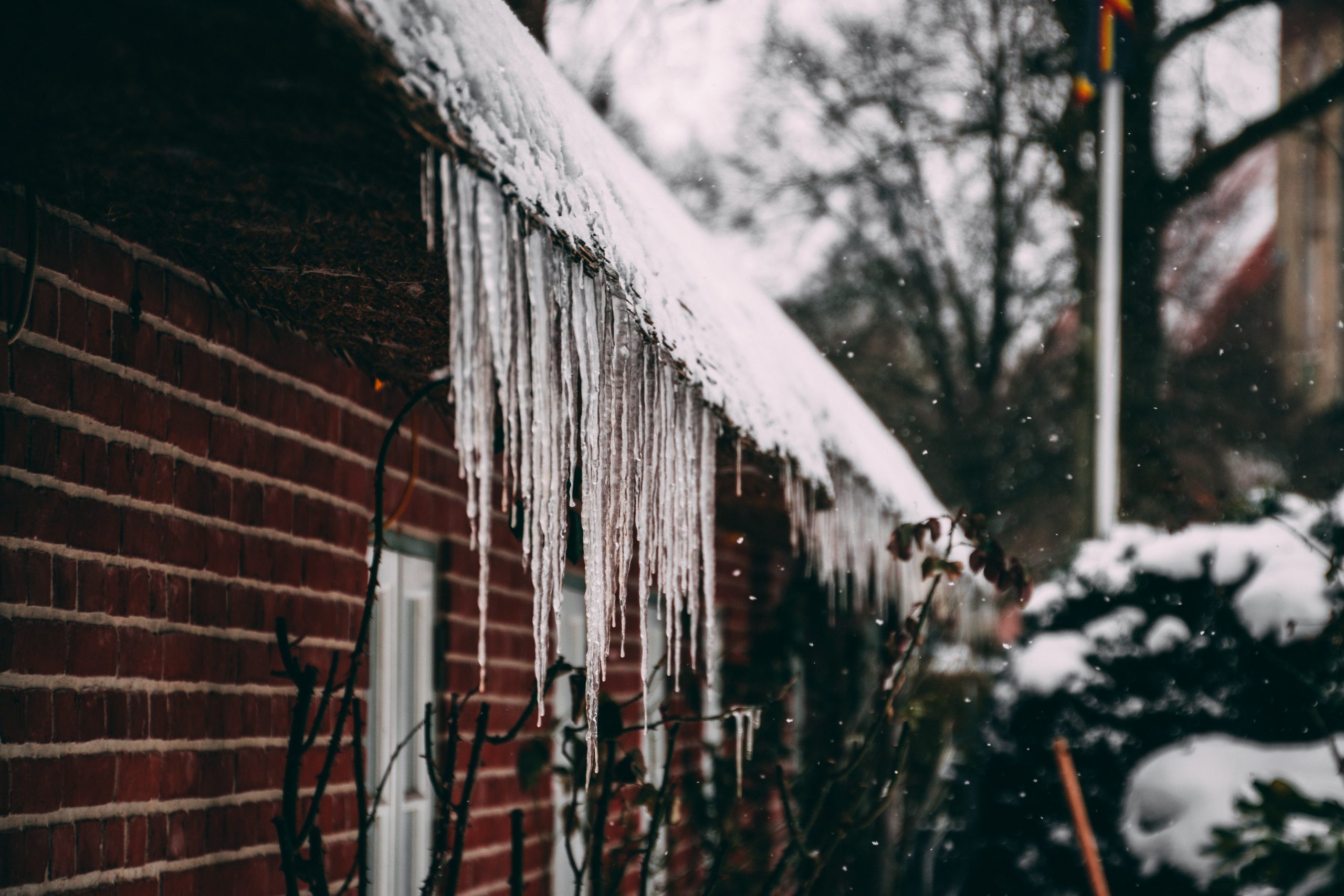 https://www.hazeltonmountford.co.uk/app/uploads/2022/01/pexels-matthis-volquardsen-2090972-scaled-1.jpg