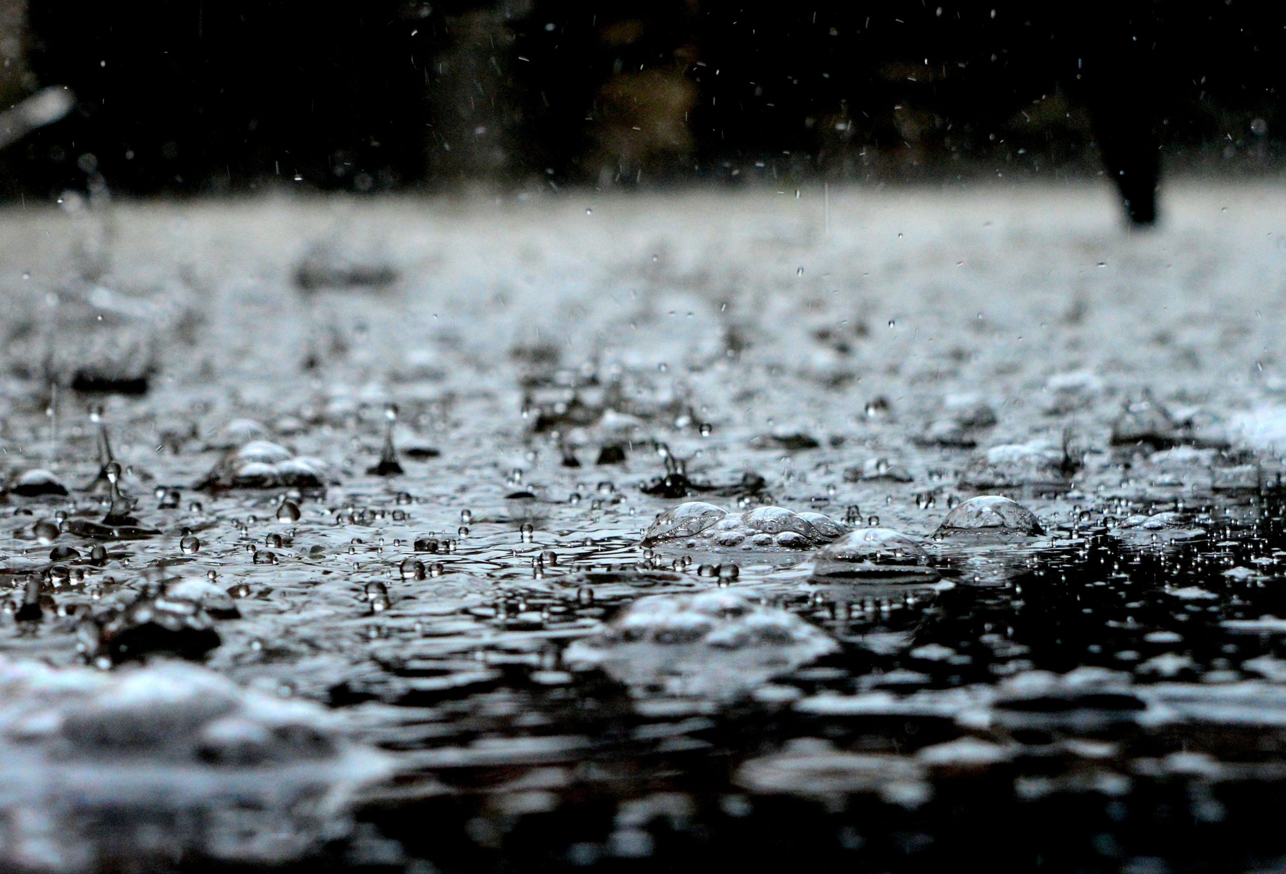 https://www.hazeltonmountford.co.uk/app/uploads/2022/10/pexels-pixabay-459451-scaled-1.jpg