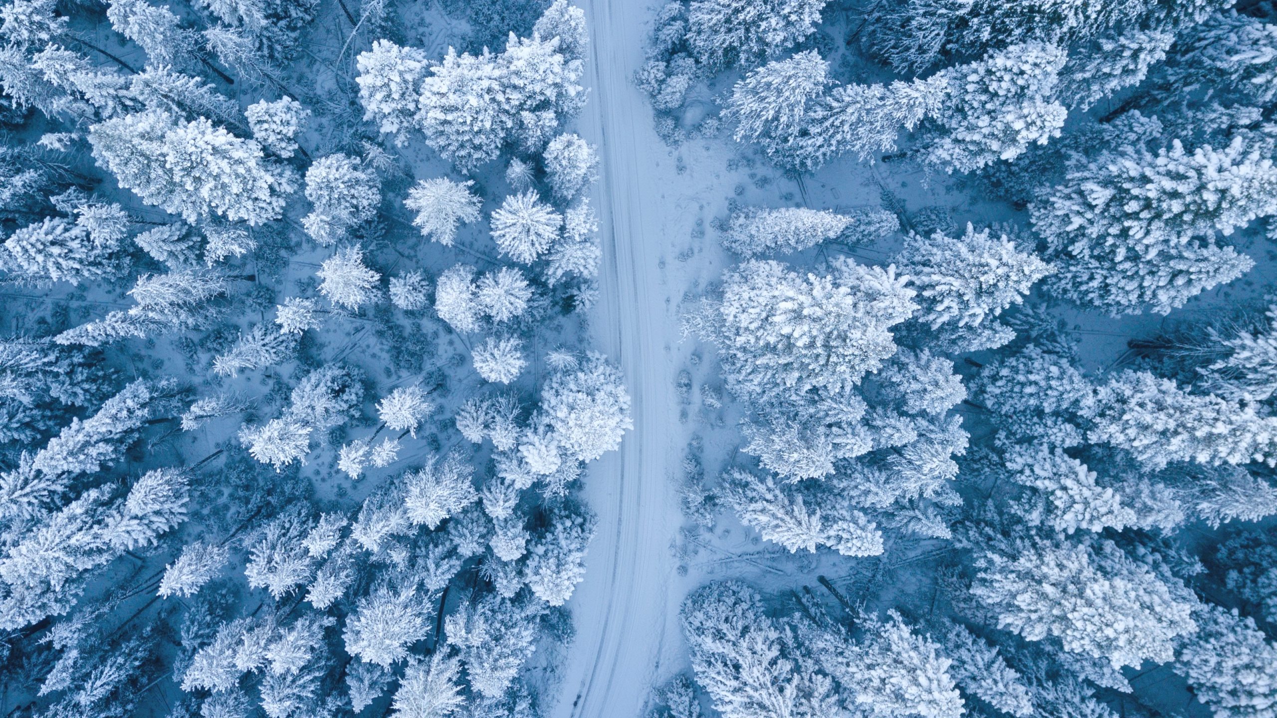 https://www.hazeltonmountford.co.uk/app/uploads/2022/12/pexels-ruvim-miksanskiy-1438761-scaled-1.jpg