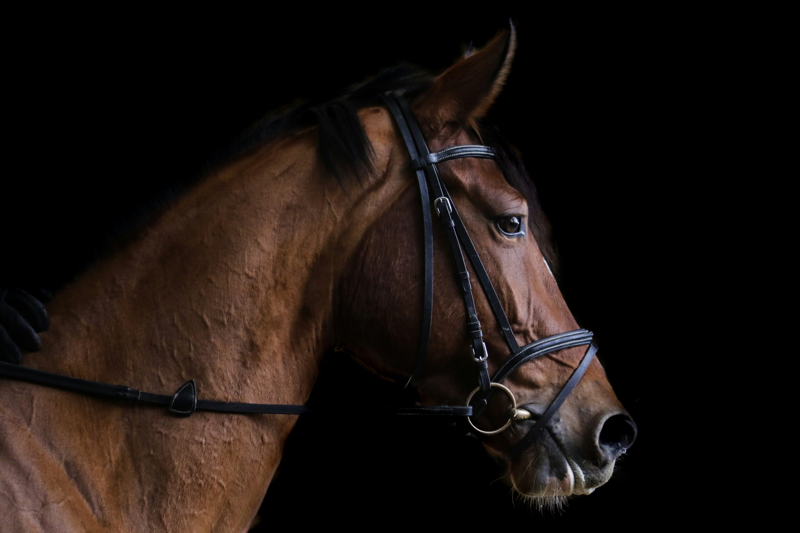 https://www.hazeltonmountford.co.uk/app/uploads/2024/02/marylou-fortier-mjXm9gYP4wE-unsplash-scaled.jpg
