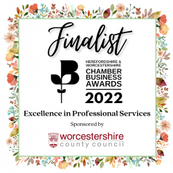 Excellence in Professional Services Finalist