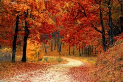 Commercial Building Maintenance Tips for Autumn